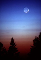Het vredige schijnsel van de maan gesymboliseerd door de kleur van deze platina trouwringen 